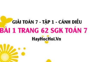 Giải bài 1 trang 62 Toán 7 Tập 1 SGK Cánh Diều: Đại lượng tỉ lệ thuận